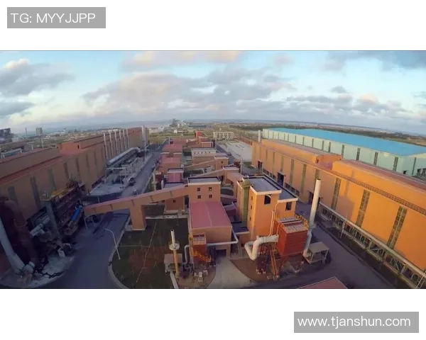 红桃国际:追求卓越的无尽旅程与未来愿景 红桃国际:追求卓越的无尽旅程与未来愿景