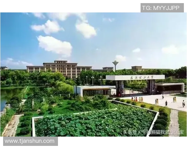 熊猫体育未来功能规划探索与创新发展路径研究