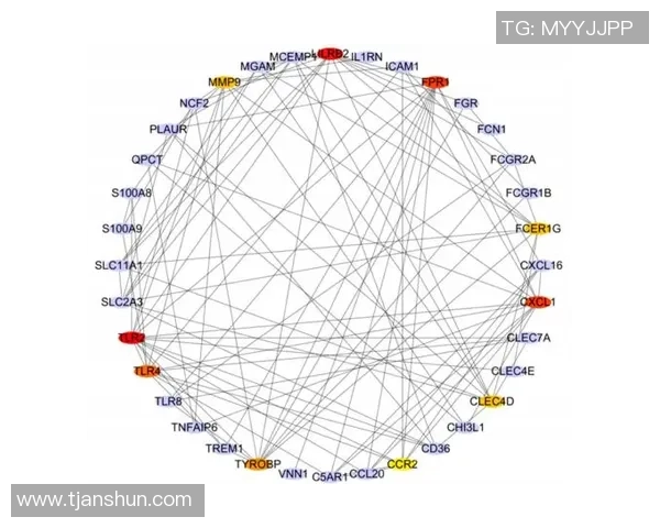 新宝GG技术验证方法的创新探索与实践应用分析