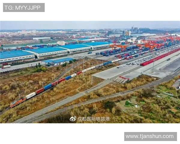 龙门国际供应链协同助力全球贸易新格局的构建与发展