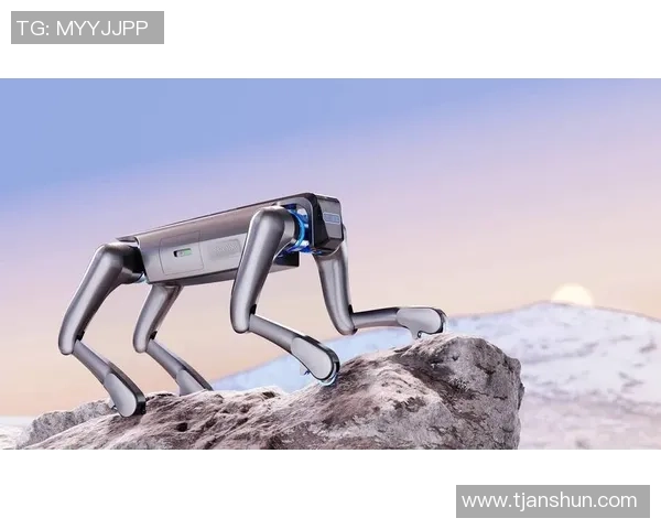 新宝GG碳基芯片技术引领未来电子产品创新与发展新潮流