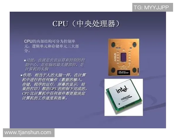 职业与业余设备性能差异分析:探讨硬件差距对工作效率的影响 职业与业余设备性能差异分析:探讨硬件差距对工作效率的影响